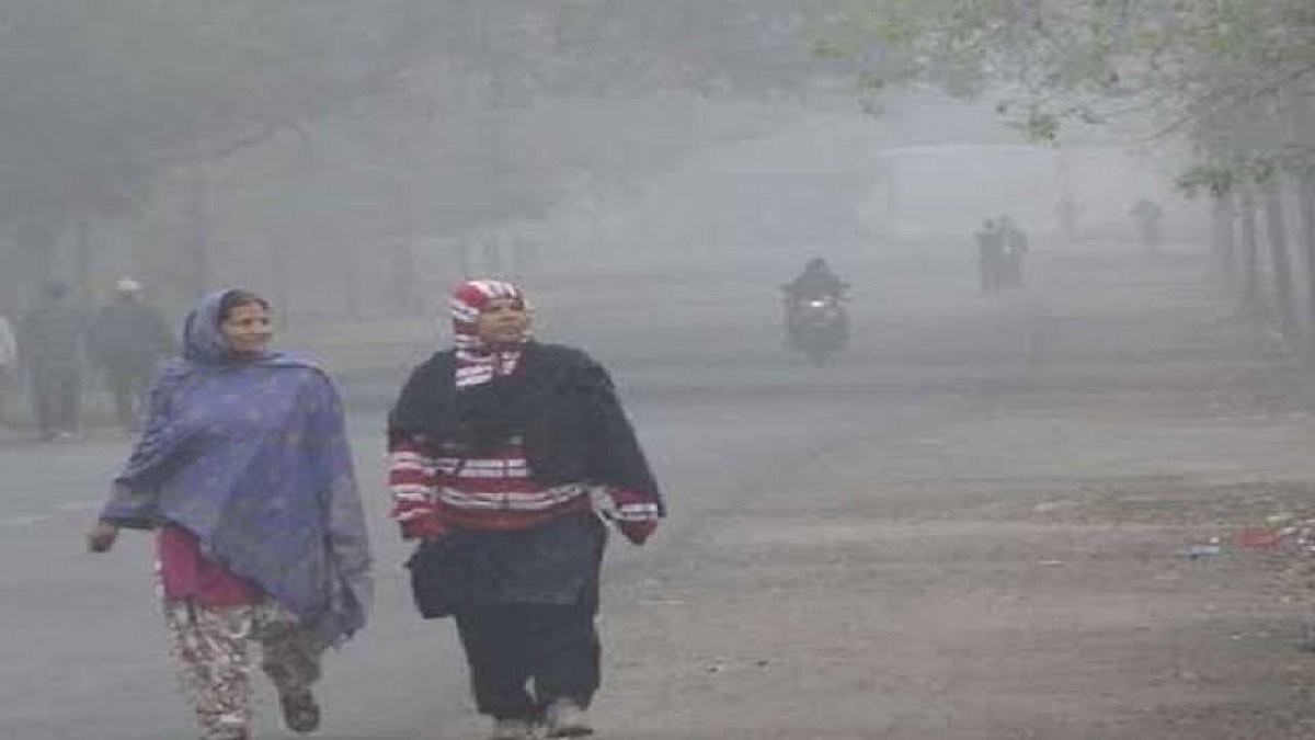 मध्य प्रदेश में अभी और बढ़ेगी ठंड, शुक्रवार से शीत लहर चलने के आसार मध्य प्रदेश में अभी और बढ़ेगी ठंड, शुक्रवार से शीत लहर चलने के आसार