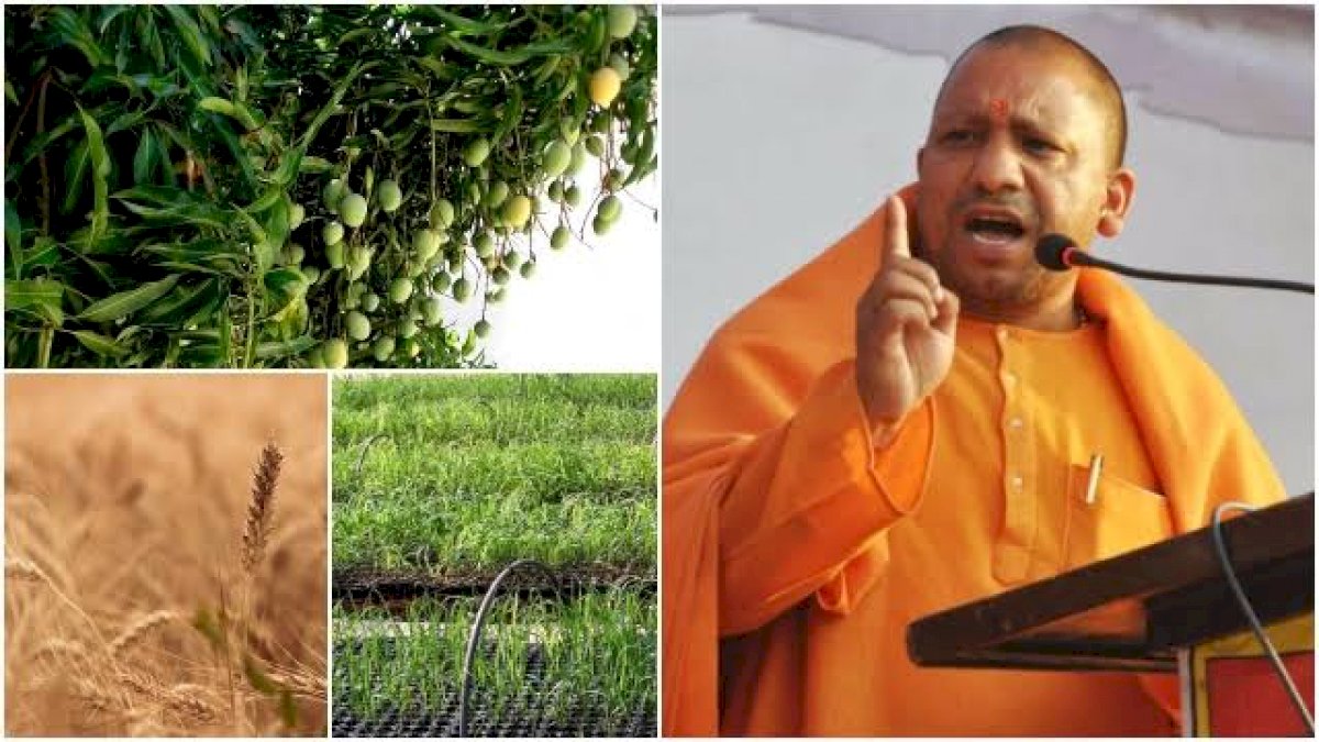 यूपी में कृषि कानूनों के विरोधियों को 50 लाख का नोटिस, किसानों की आवाज़ दबाने का नया नुस्ख़ा यूपी में कृषि कानूनों के विरोधियों को 50 लाख का नोटिस, किसानों की आवाज़ दबाने का नया नुस्ख़ा