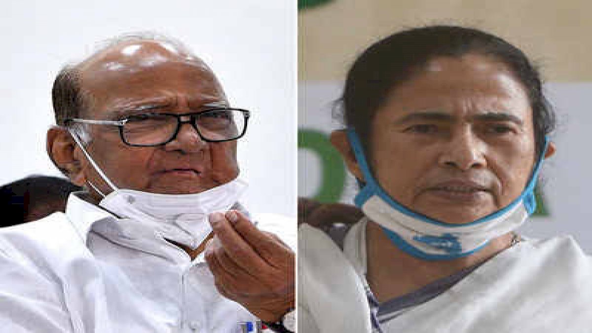 ममता बनर्जी ने की शरद पवार से बात, विपक्षी एकता के लिए जा सकते हैं दिल्ली ममता बनर्जी ने की शरद पवार से बात, विपक्षी एकता के लिए जा सकते हैं दिल्ली