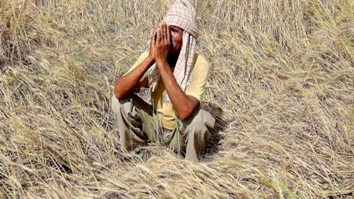 150 किसानों के 4 करोड़ लेकर व्यापारी फरार, एमपी में अब तक ठगे गए लगभग 400 किसान 150 किसानों के 4 करोड़ लेकर व्यापारी फरार, एमपी में अब तक ठगे गए लगभग 400 किसान
