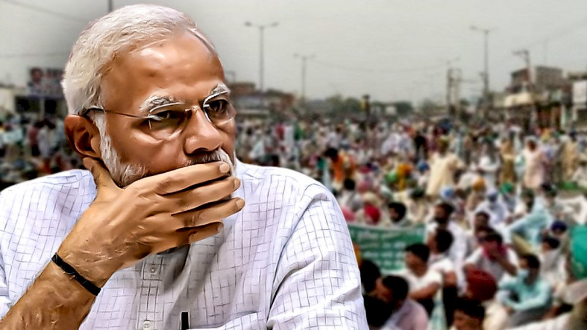 मोदी वापस क्यों नहीं ले रहे कृषि क़ानून, देखिए इस ऑनलाइन सर्वे में क्या मिला जवाब मोदी वापस क्यों नहीं ले रहे कृषि क़ानून, देखिए इस ऑनलाइन सर्वे में क्या मिला जवाब