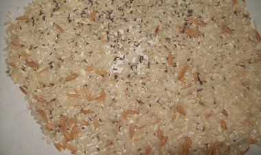 Photo Courtesy: social media