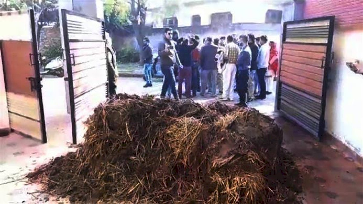 पंजाब के पूर्व मंत्री के घर किसानों ने फेंका गोबर, बीजेपी नेता ने दिया धरना पंजाब के पूर्व मंत्री के घर किसानों ने फेंका गोबर, बीजेपी नेता ने दिया धरना