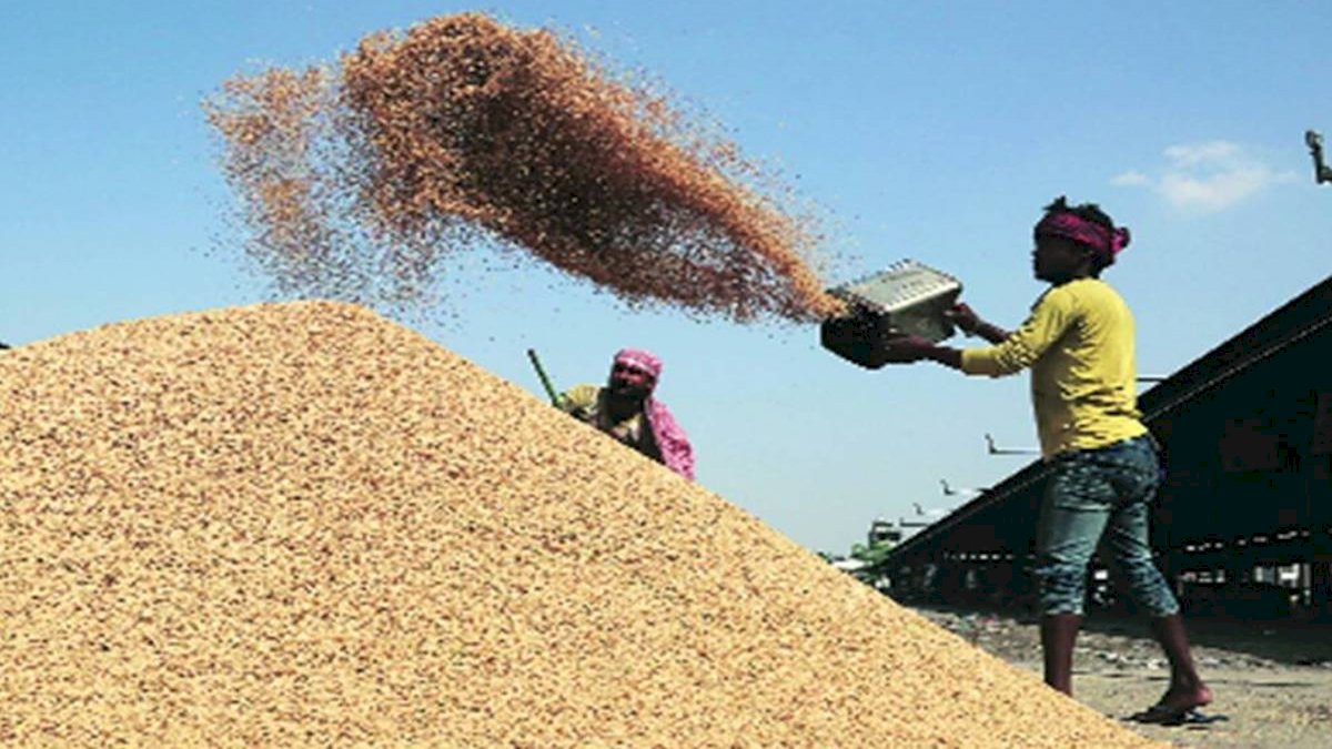 कांग्रेस का केंद्र पर आरोप, छत्तीसगढ़ में 60 लाख टन धान ख़रीदने का वादा किया पर 47 लाख टन के बाद रोकी खरीद कांग्रेस का केंद्र पर आरोप, छत्तीसगढ़ में 60 लाख टन धान ख़रीदने का वादा किया पर 47 लाख टन के बाद रोकी खरीद