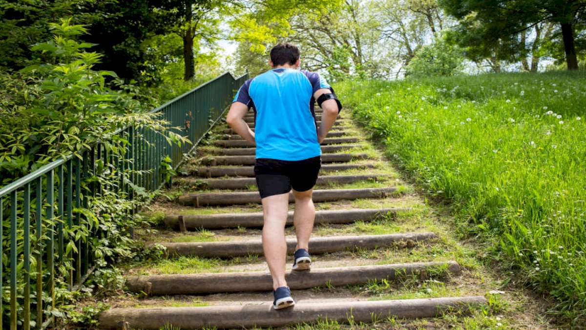 Stairs Climbing: सीढ़ियां चढ़ने-उतरने से कम होगा हार्ट अटैक का खतरा Stairs Climbing: सीढ़ियां चढ़ने-उतरने से कम होगा हार्ट अटैक का खतरा