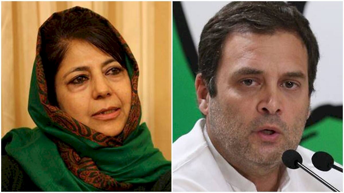 Mehbooba Mufti: तानाशाही के खिलाफ खड़े रहने के लिए राहुल गांधी को याद रखेगा इतिहास Mehbooba Mufti: तानाशाही के खिलाफ खड़े रहने के लिए राहुल गांधी को याद रखेगा इतिहास