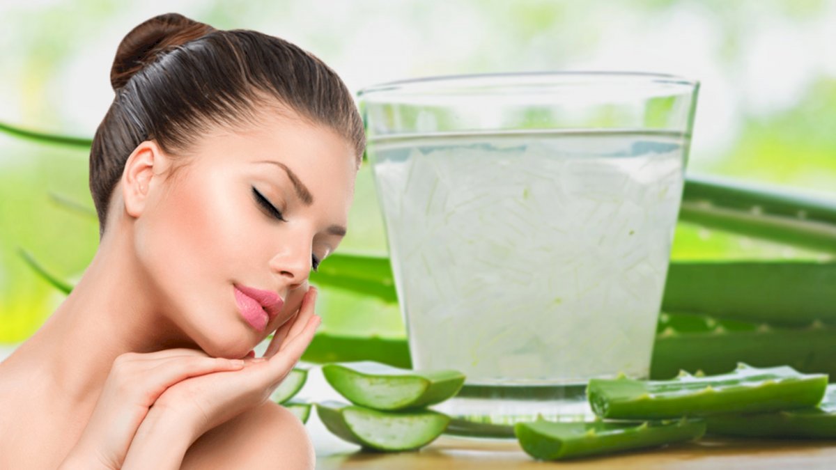 Aloe Vera: एलोवेरा को आयुर्वेद में क्यों दी गई संजीवनी की उपमा, जानिए Aloe Vera: एलोवेरा को आयुर्वेद में क्यों दी गई संजीवनी की उपमा, जानिए