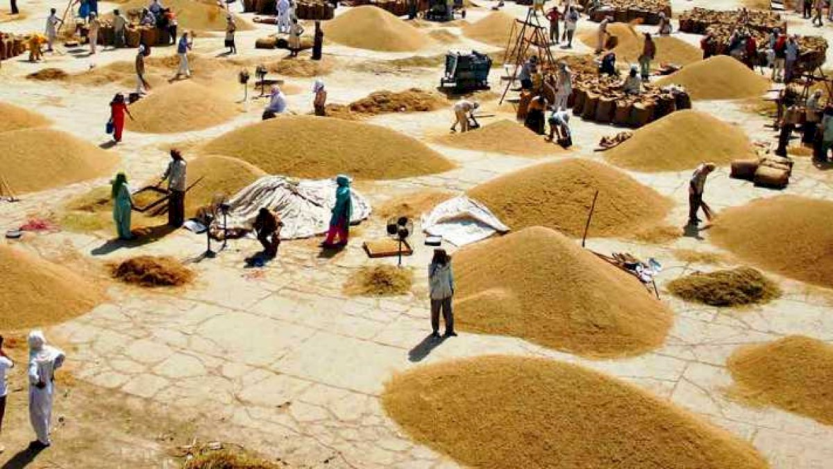 दिसंबर में 81 फीसदी घटी मंडियों की आय, रीवा संभाग में 97 फीसदी कम हुई आमदनी दिसंबर में 81 फीसदी घटी मंडियों की आय, रीवा संभाग में 97 फीसदी कम हुई आमदनी