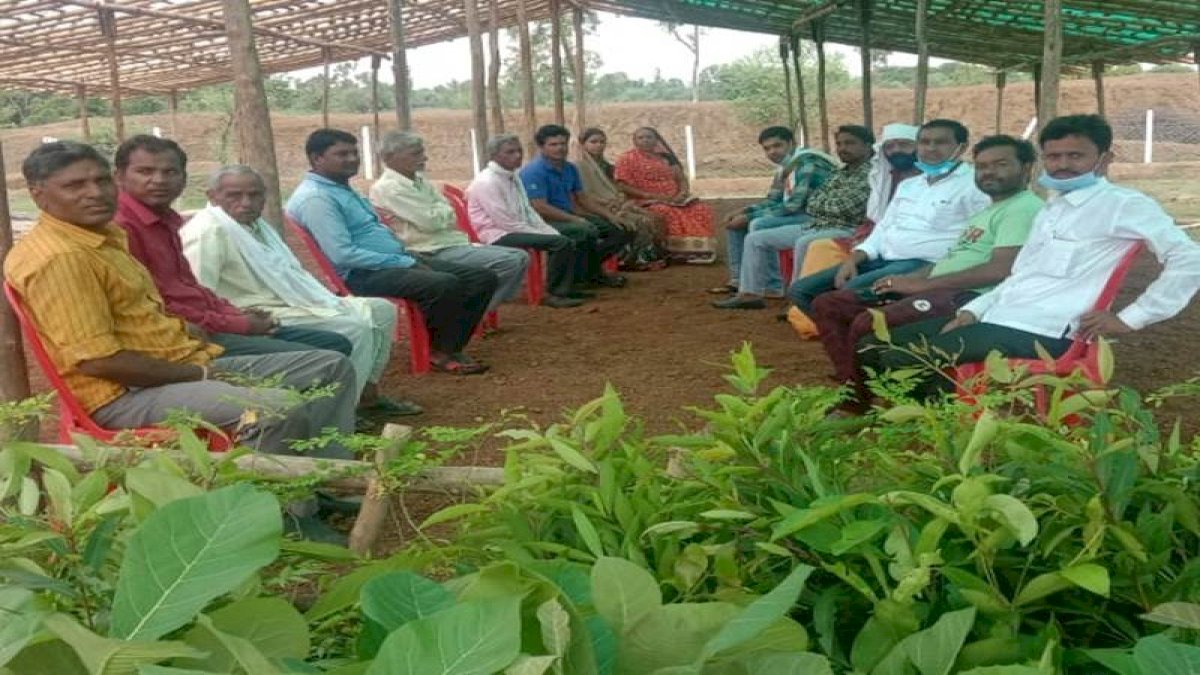 बिना सरपंच के चल रही हैं छत्तीसगढ़ की 66 पंचायतें, जानिए क्या है इसकी वजह बिना सरपंच के चल रही हैं छत्तीसगढ़ की 66 पंचायतें, जानिए क्या है इसकी वजह