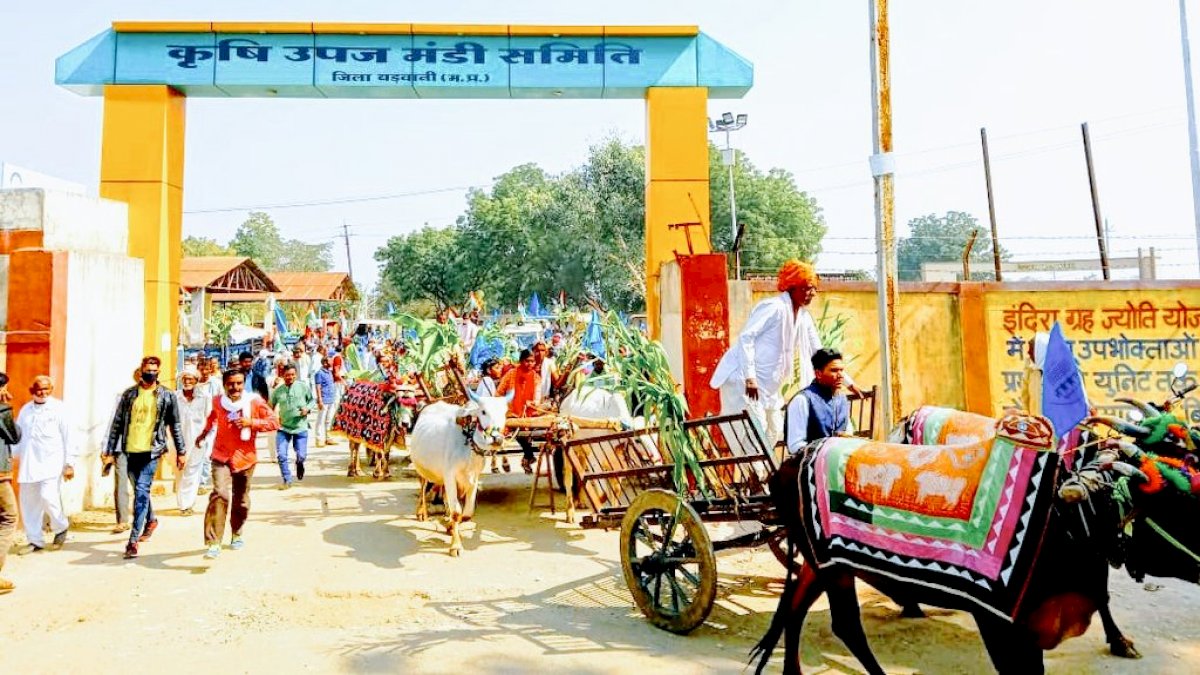 MP में भी किसान आंदोलन का असर, कहीं बैलगाड़ी तो कहीं ट्रैक्टर ट्रॉली लेकर सड़कों पर उतरे किसान MP में भी किसान आंदोलन का असर, कहीं बैलगाड़ी तो कहीं ट्रैक्टर ट्रॉली लेकर सड़कों पर उतरे किसान