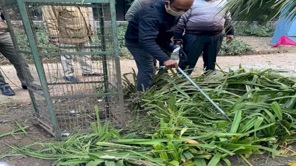इजरायल दूतावास धमाके में एनर्जी ड्रिंक के कैन से क्या है कनेक्शन, जांच में जुटी एजेंसियां इजरायल दूतावास धमाके में एनर्जी ड्रिंक के कैन से क्या है कनेक्शन, जांच में जुटी एजेंसियां