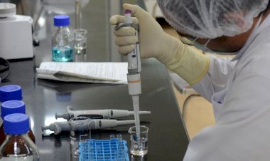 Photo Courtesy: Scroll