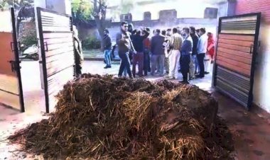 Photo Courtesy: The Tribune