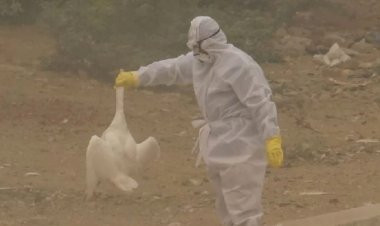 Photo Courtesy: Amar Ujala