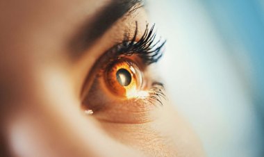 Photo Courtesy: verywell health