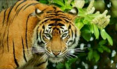Photo Courtesy: Zee News Photo Courtesy: Zee News