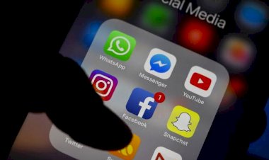 Photo Courtesy: OneZero