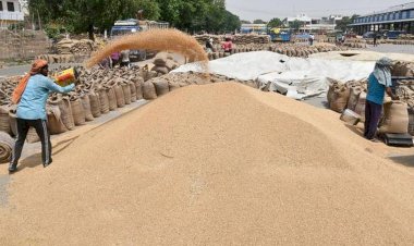 Photo Courtesy: The Hindu