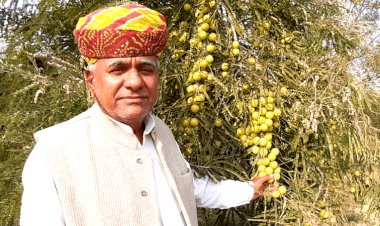 Photo Courtesy: Better india