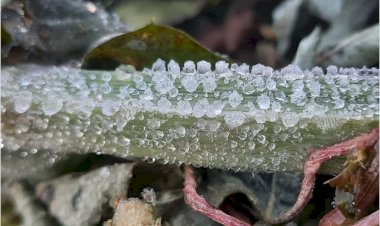 Photo Courtesy: Bhaskar