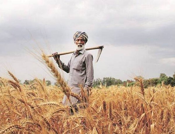 Photo Courtesy: The Financial Express Photo Courtesy: The Financial Express