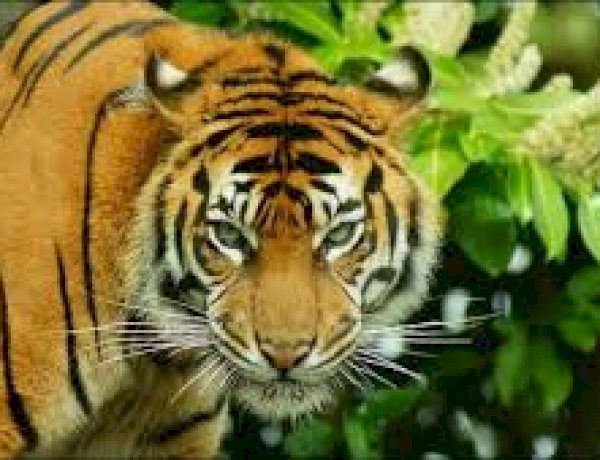 Photo Courtesy: Zee News Photo Courtesy: Zee News