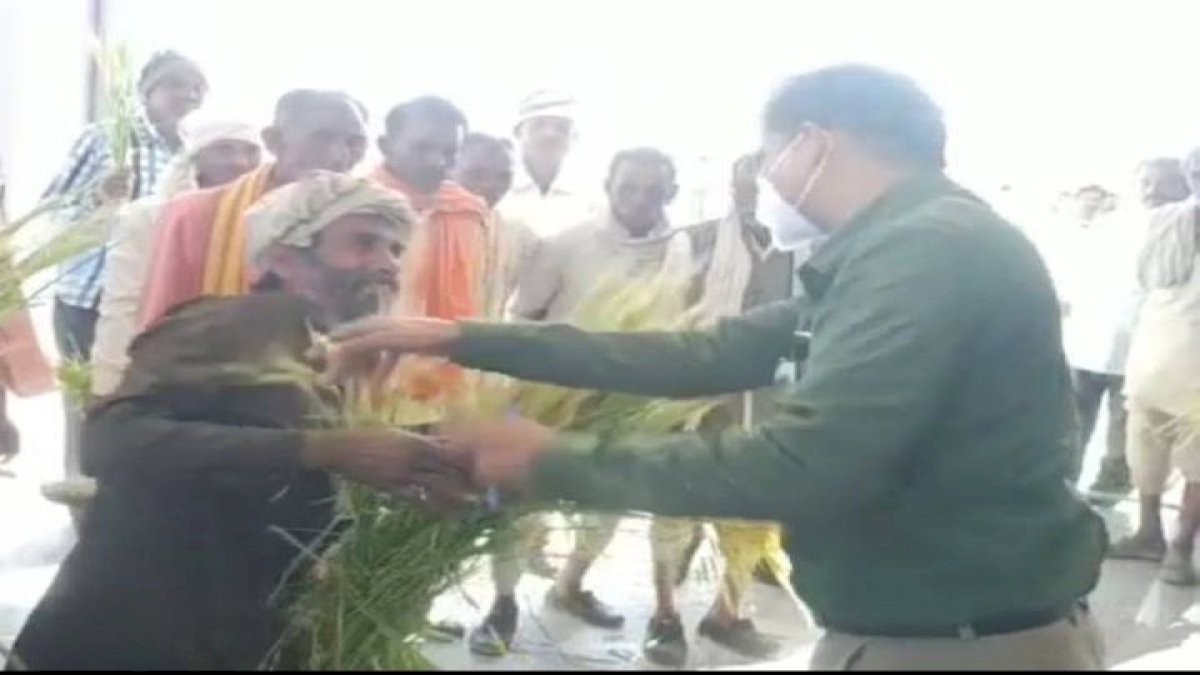 सागर में किसानों ने मांगा खराब फसल का मुआवजा तो सरकारी अफ़सर ने दिया धक्का सागर में किसानों ने मांगा खराब फसल का मुआवजा तो सरकारी अफ़सर ने दिया धक्का
