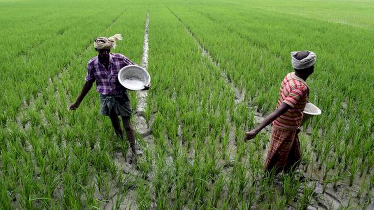 1250 की जगह 1400 में मिलेगी डीएपी खाद, दिग्विजय सिंह ने साधा सरकार पर निशाना 1250 की जगह 1400 में मिलेगी डीएपी खाद, दिग्विजय सिंह ने साधा सरकार पर निशाना