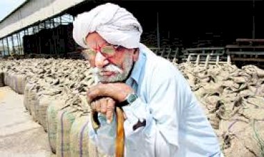 Photo Courtesy: The Tribune 