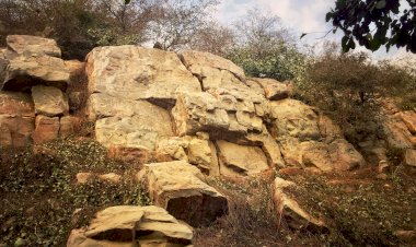 Photo Courtesy : Wikipedia