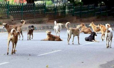 Photo Courtesy: Aaj tak   Photo Courtesy: Aaj tak