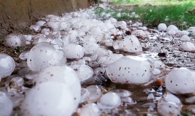 Photo Courtesy: Nai Dunia 