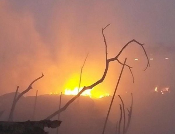 Photo Courtesy : Aaj Tak Photo Courtesy : Aaj Tak