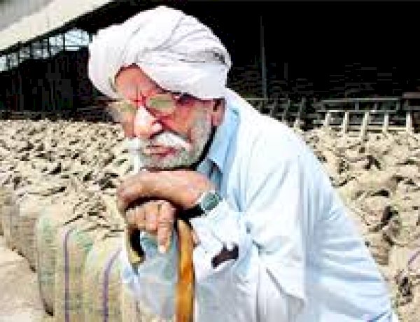 Photo Courtesy: The Tribune Photo Courtesy: The Tribune