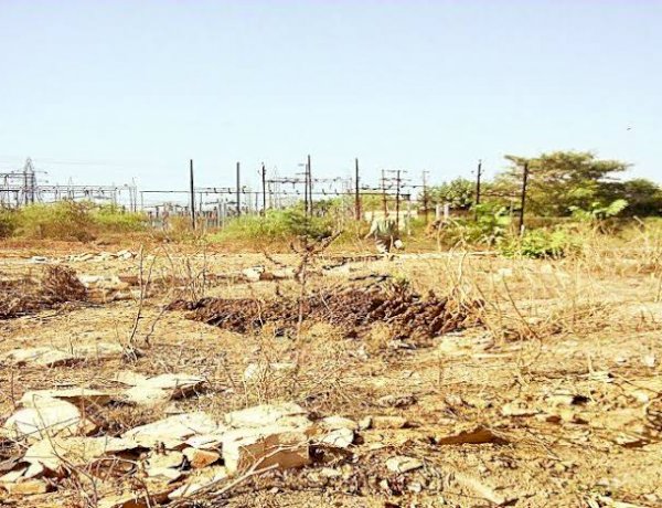 Photo Courtesy: Patrika Photo Courtesy: Patrika