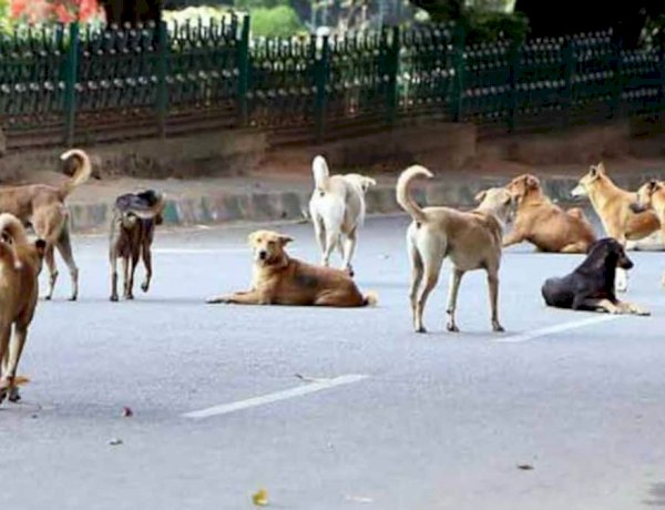 Photo Courtesy: Aaj tak Photo Courtesy: Aaj tak