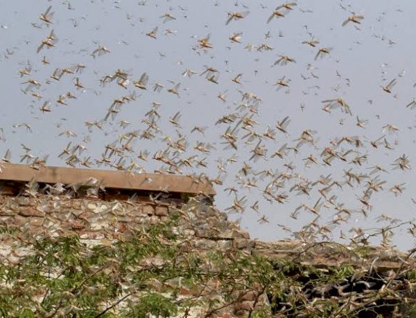 Photo Courtesy: Deccan Herald Photo Courtesy: Deccan Herald