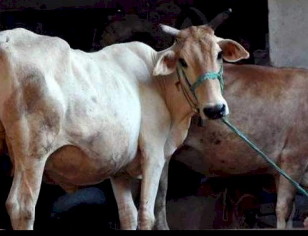 Photo Courtesy : New Indian Express Photo Courtesy : New Indian Express