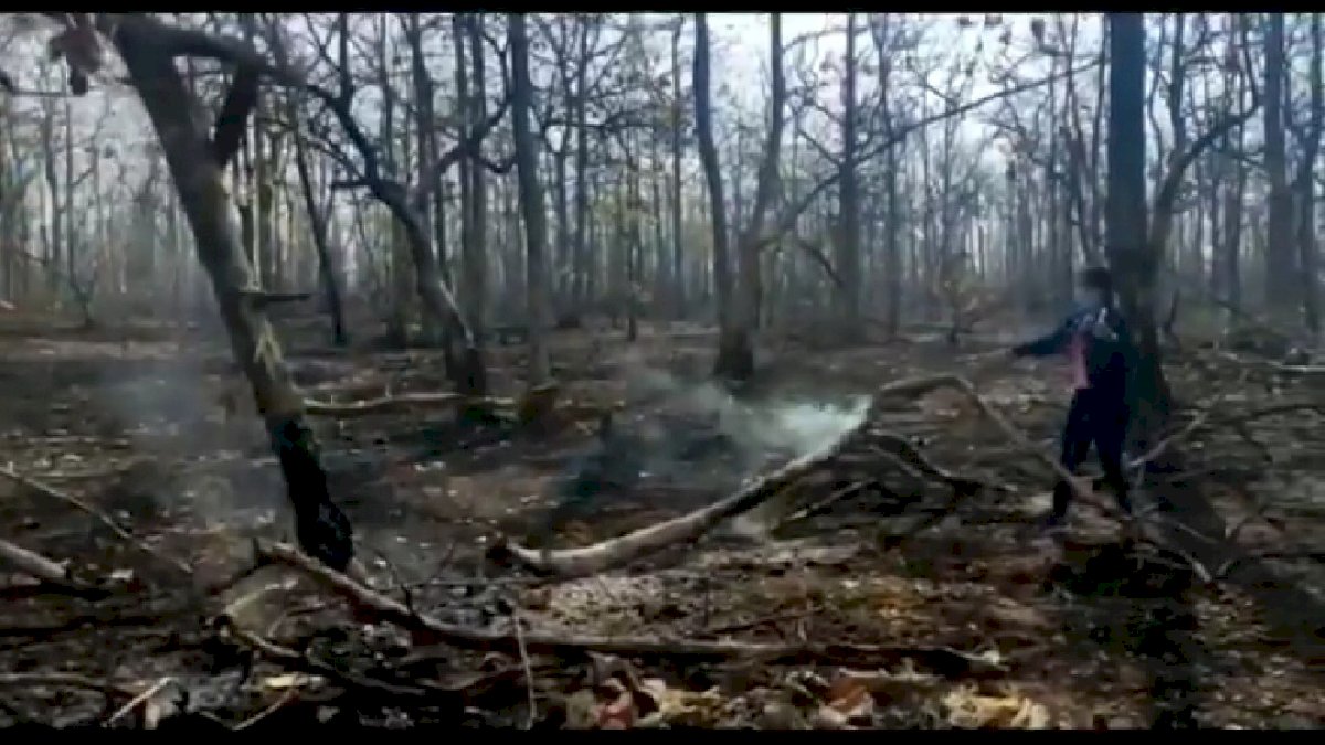 कोलार डैम के पास जंगल में लगी आग, प्रशासन ने आग बुझाने का नहीं किया प्रयास कोलार डैम के पास जंगल में लगी आग, प्रशासन ने आग बुझाने का नहीं किया प्रयास