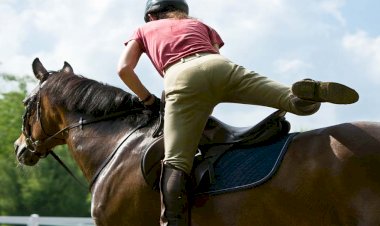 Photo Courtesy : ZeeNews