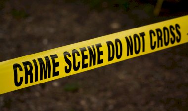 Photo Courtesy: Blockhead Technologies