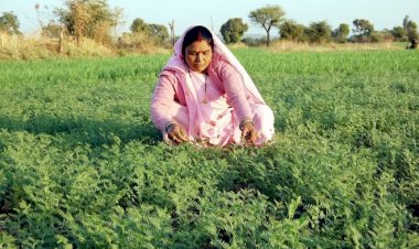 Photo Courtesy: Sarita.in 