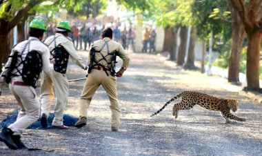 Photo Courtesy :  Praveen Barnale