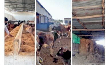 Photo Courtesy: Bhaskar