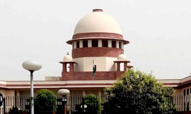 Photo Courtesy: Lawnn.com