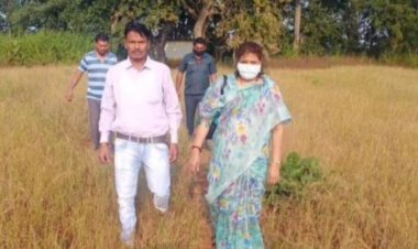 Photo Courtesy : JoshHosh