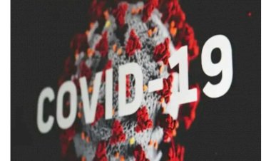 Photo courtesy: bhaskar