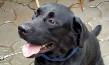 Photo courtesy: Indian express