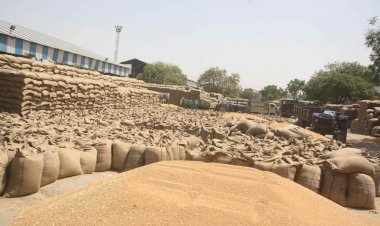 Photo courtesy: Amar ujala