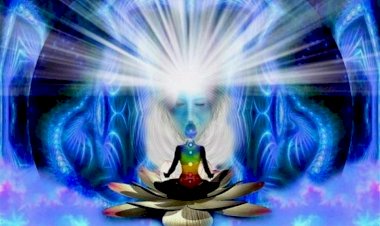 Photo courtesy:Trans4mind